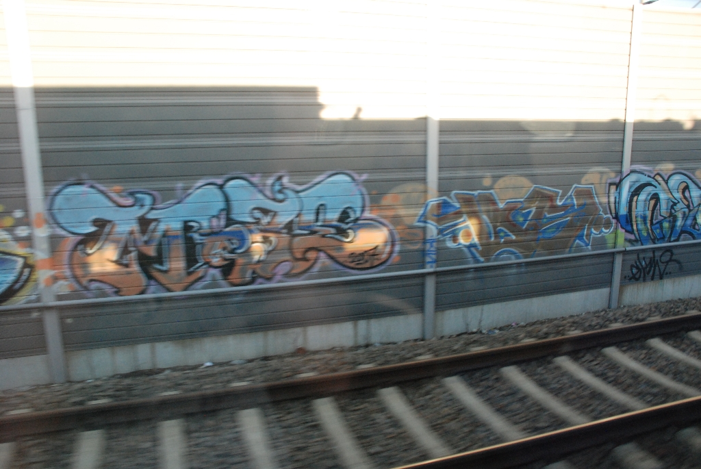 DSC_0721.JPG