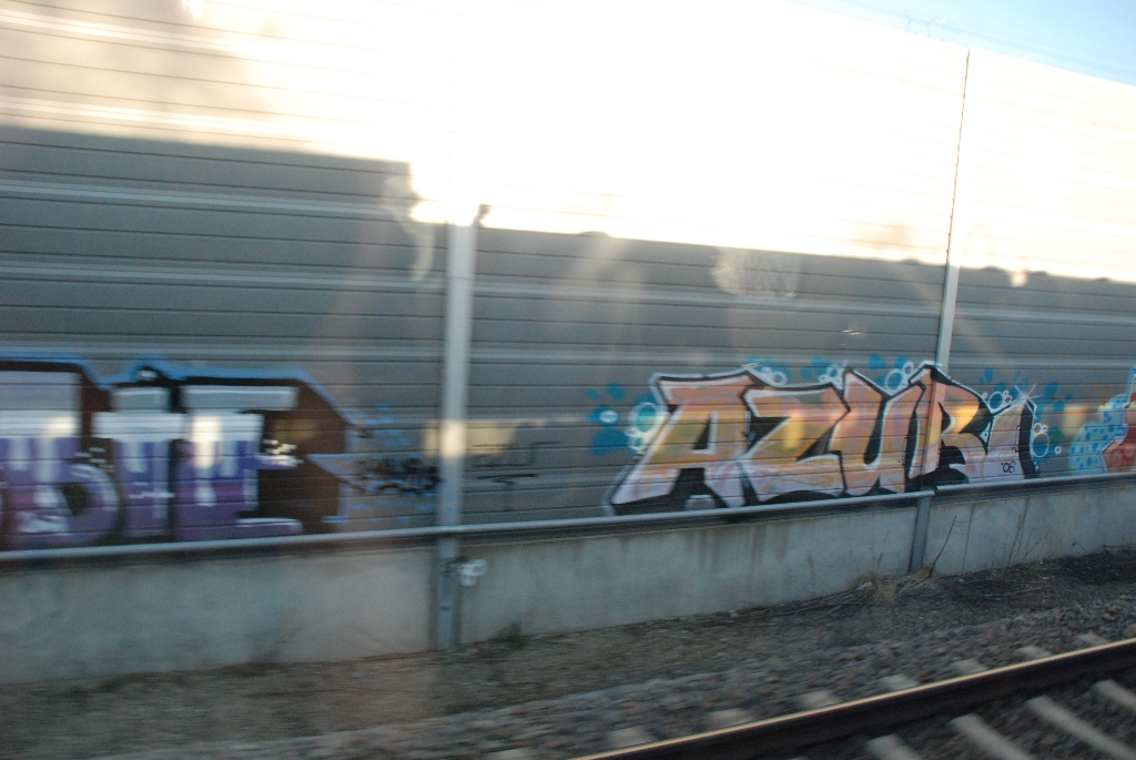 DSC_0725.JPG