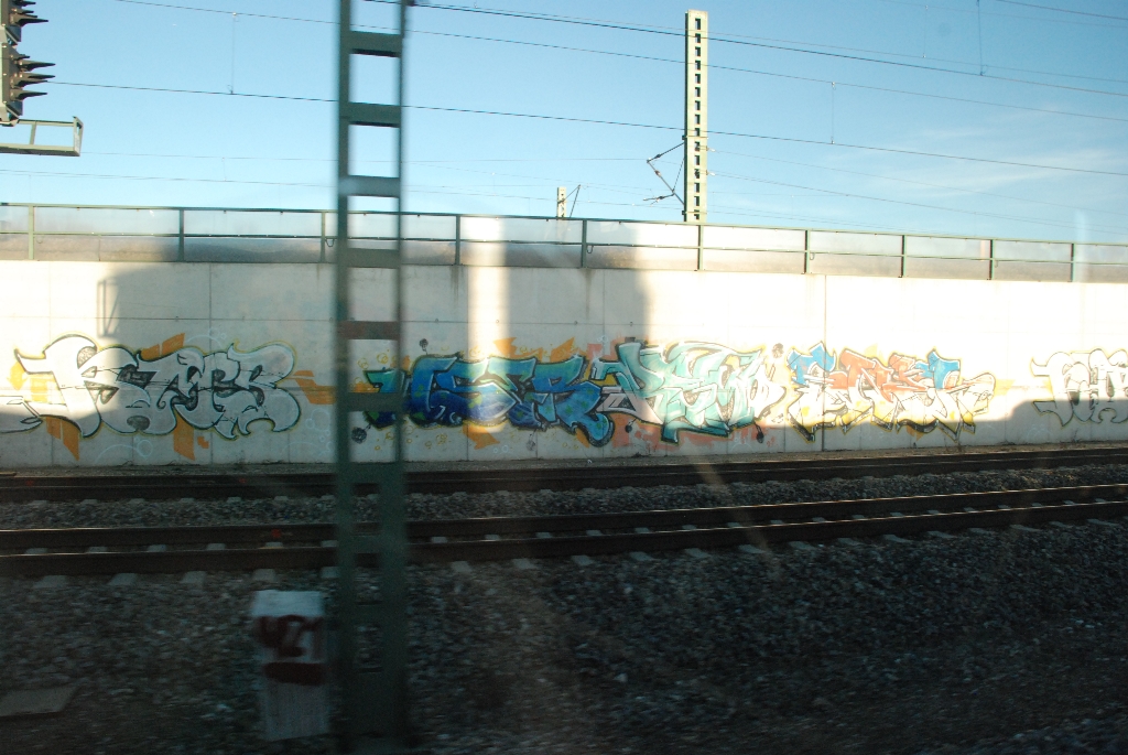 DSC_0730.JPG