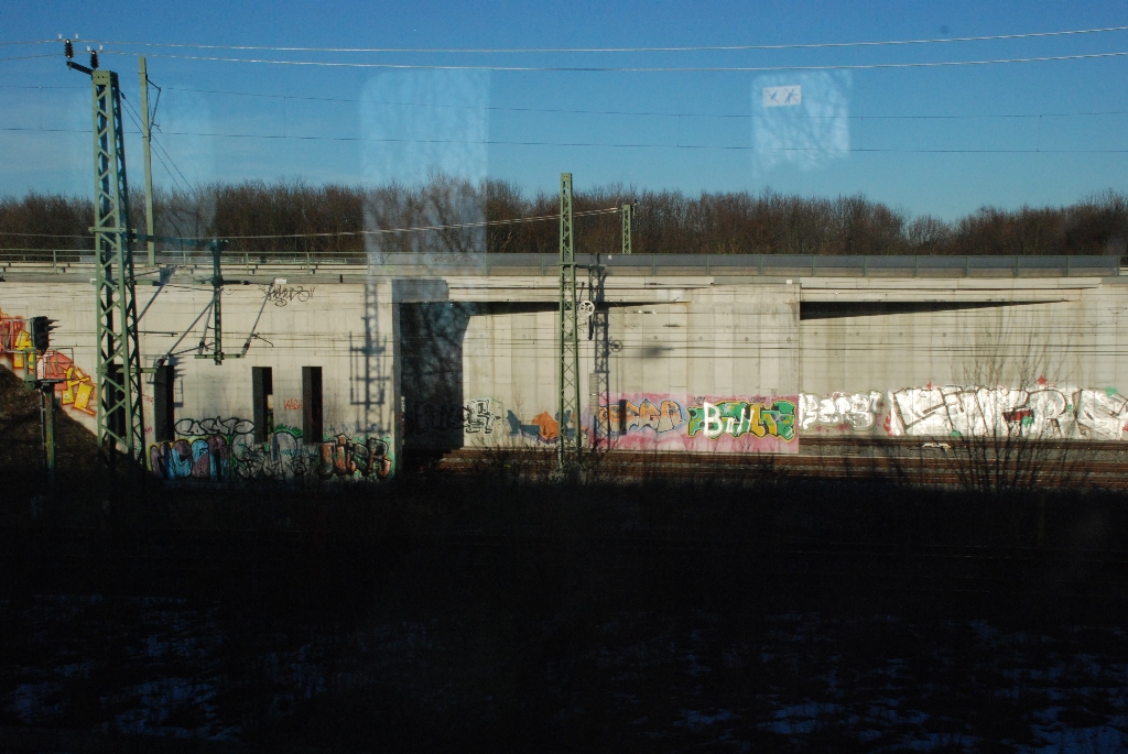 DSC_0733.JPG