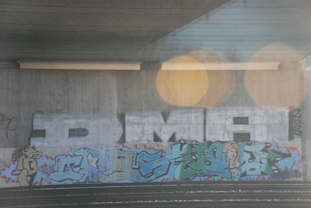 DSC_0736.JPG