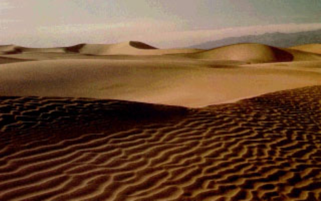 DUNES2.jpg