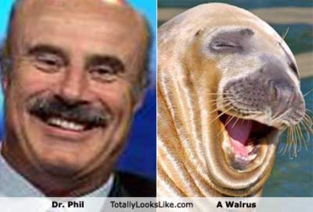 dr-phil.jpg