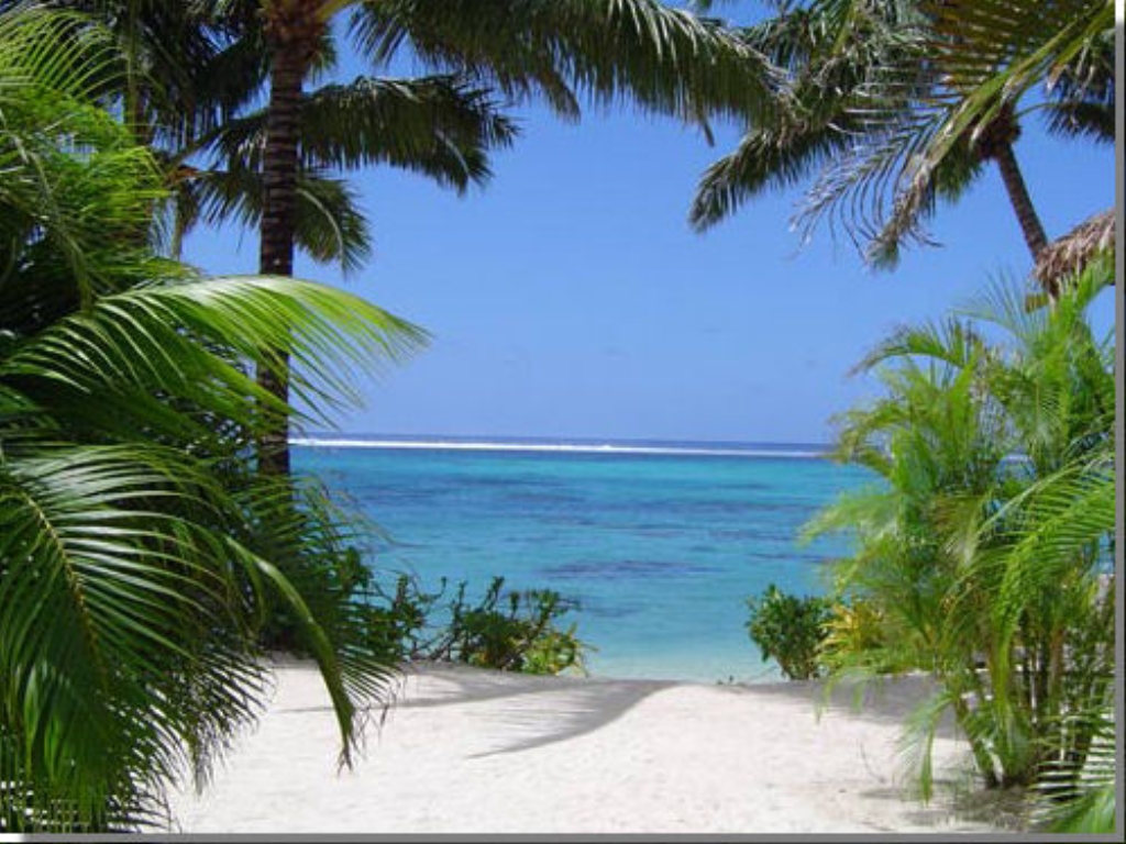 View-From-Tropical-Beach-ds.jpg