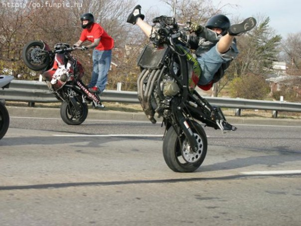 wheelie%20crazy.jpg