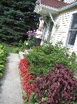 img_1883.jpg