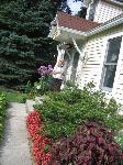 img_1884.jpg