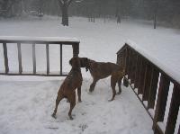 picture_007.jpg