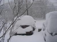 picture_014.jpg