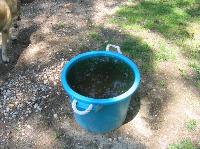 img_2394.jpg