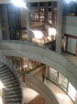 IMG_2226.jpg