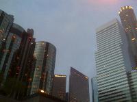 IMG_2238.jpg