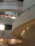 IMG_2239.jpg