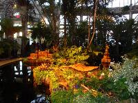 dsc09685.jpg