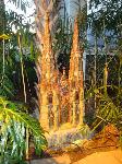 dsc09686.jpg