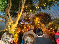 dsc09687.jpg