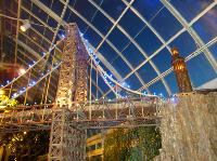 dsc09694.jpg