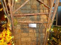 dsc09700.jpg