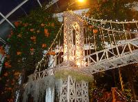 dsc09706.jpg