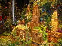 dsc09709.jpg