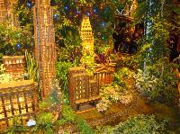 dsc09712.jpg