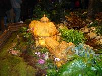dsc09720.jpg