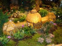 dsc09722.jpg