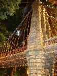 dsc09726.jpg