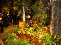 dsc09727.jpg