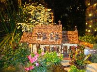 dsc09729.jpg