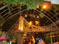 dsc09730.jpg