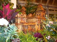 dsc09731.jpg