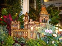 dsc09732.jpg