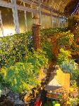 dsc09736.jpg