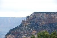 DSC_1706.JPG