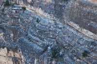 DSC_1802.JPG