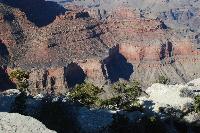DSC_1826.JPG