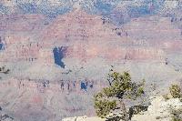 DSC_1878.JPG