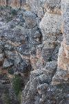 DSC_1916.JPG