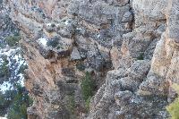 DSC_1919.JPG