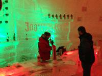IMG_1463.JPG