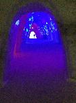 IMG_1486.JPG