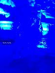 IMG_1508.JPG