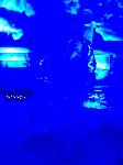 IMG_1509.JPG