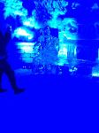 IMG_1518.JPG