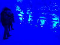 IMG_1519.JPG