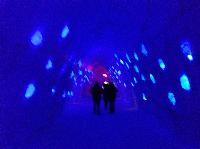 IMG_1529.JPG