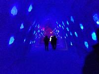 IMG_1530.JPG