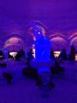 IMG_1541.JPG