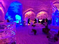 IMG_1549.JPG
